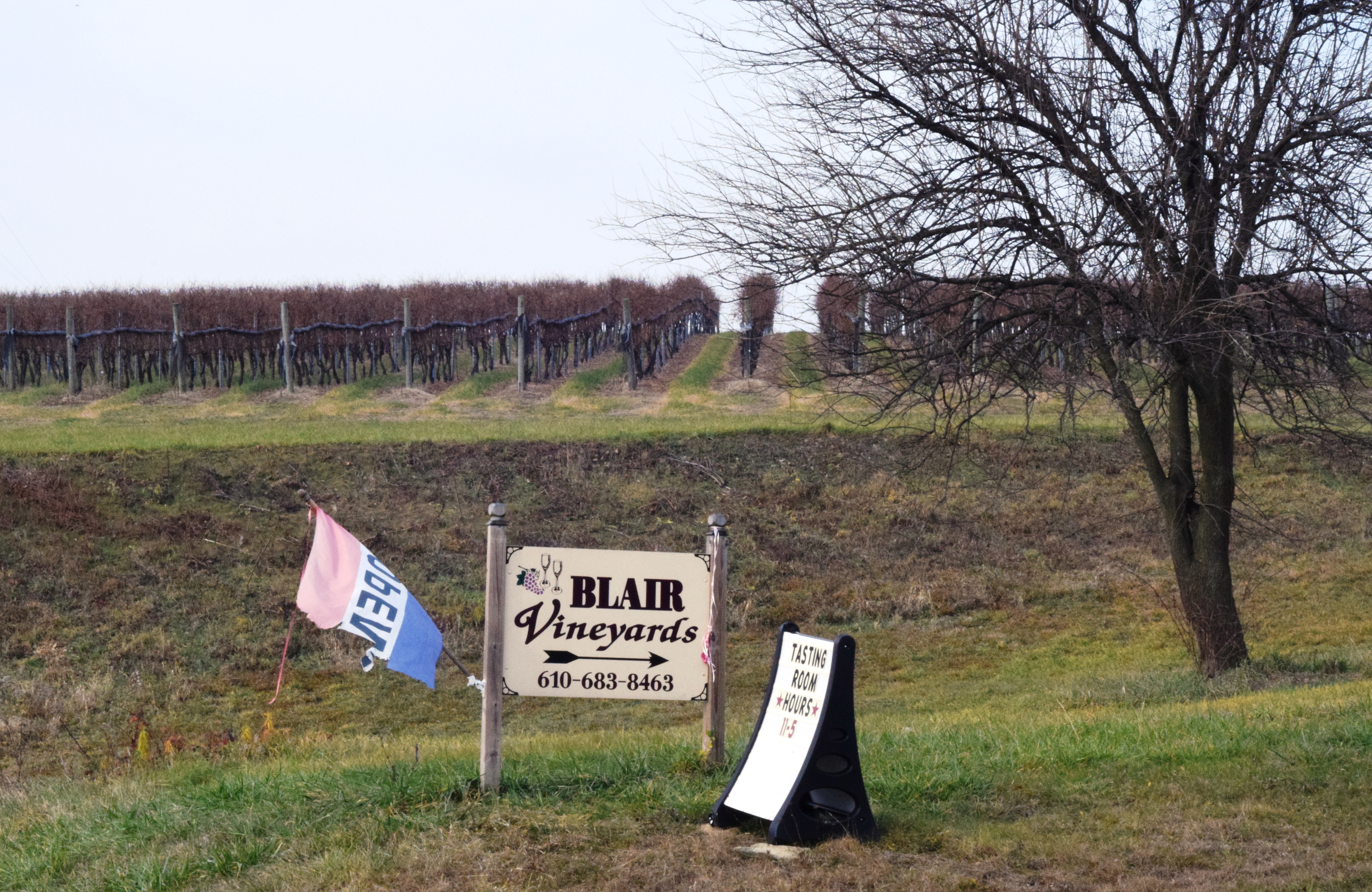 Setter Ridge Vineyards Entry
